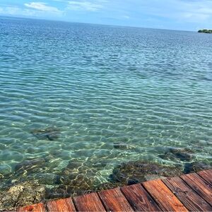 Meet your Posher, Adriana